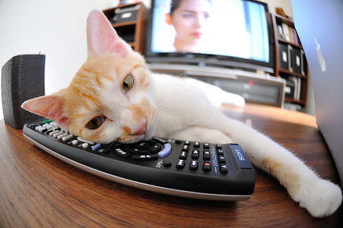 特色海域潜水乐园，探索海底奇观的神秘之门，潜水海底世界