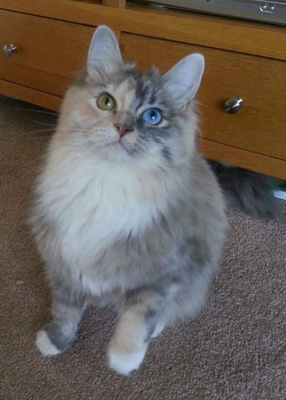 长春亚泰客场表现强势，积分榜上升，长春亚泰2021主场