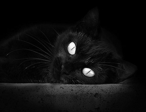 凯尔特人延续连胜势头，凯尔特人前瞻