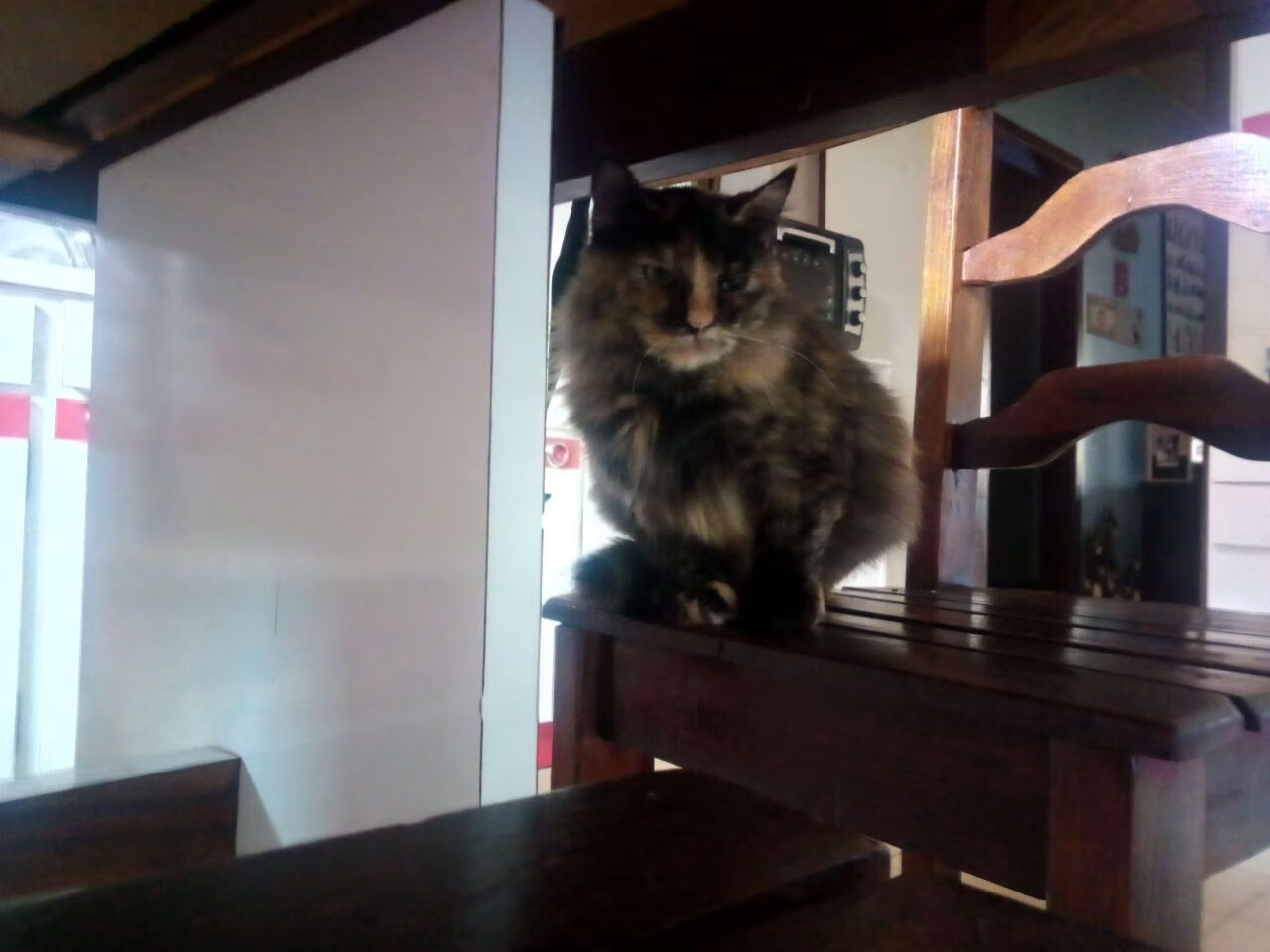 射手场均射门次数排名联赛前列，射门排行榜