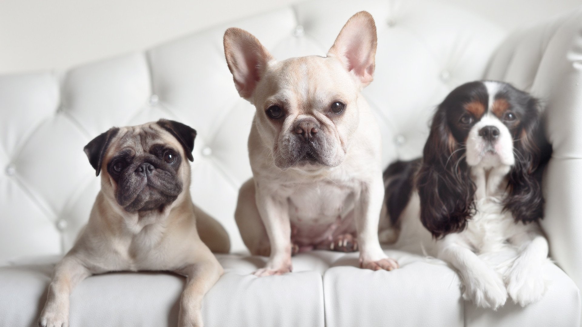 爱游戏游戏平台-新教练权！主帅调整战术布局，为新一轮比赛做好准备，omg新教练