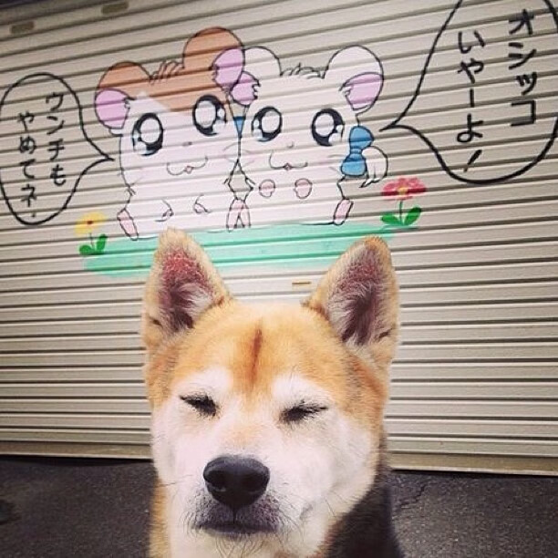 爱游戏品牌互动-荷兰男足在预选赛中被西班牙淘汰，荷兰 男足