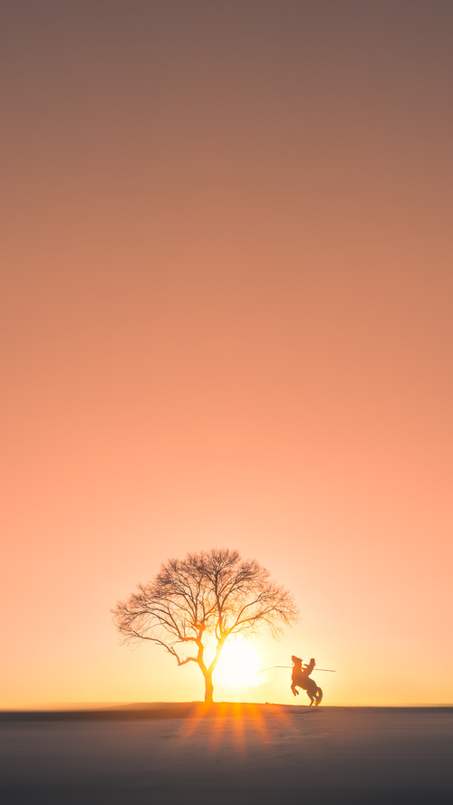 青少年体育社交行为与心理健康相关性研究，体育对青少年心理的影响