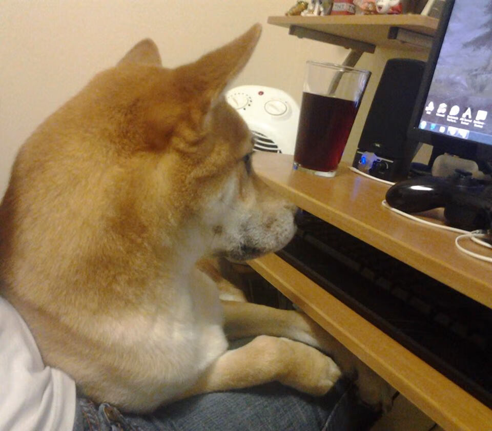 爱游戏体育-中国女篮技术动作日趋规范，女篮战术技巧