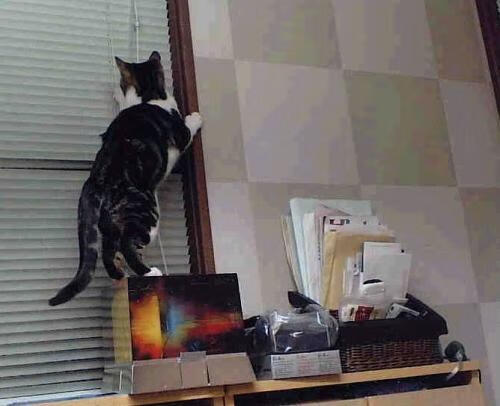 中国男篮主帅调整战术思路 强调防守优先，中国男篮前主帅